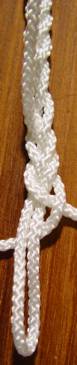 p6Plait