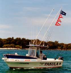 1003_16_tagflags